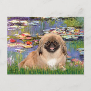 Lilies2- Pekmingese1 Postcard