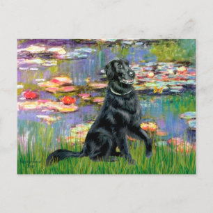 Lilies 2 - Flat Coated Retriever Postcard
