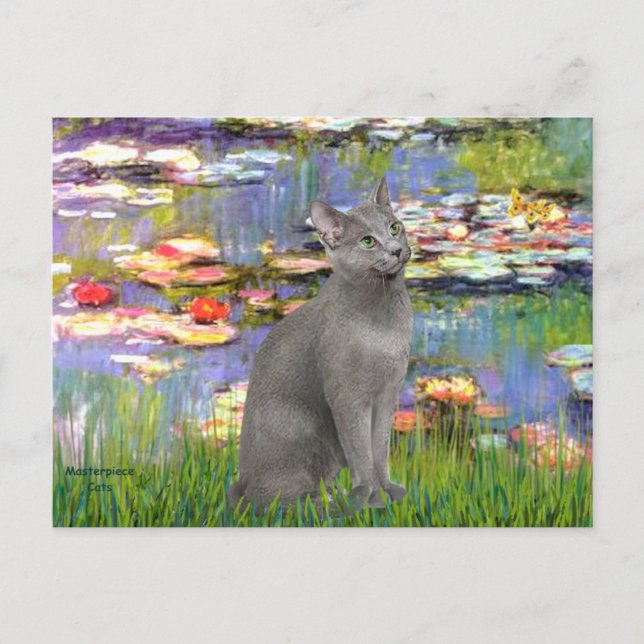 Lilies 2 - Russian Blue cat Postcard (Front)
