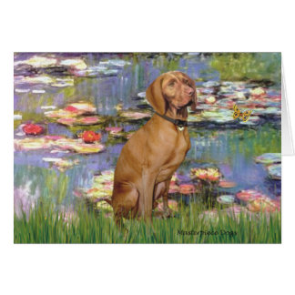 Lilies #2 - Vizsla 2