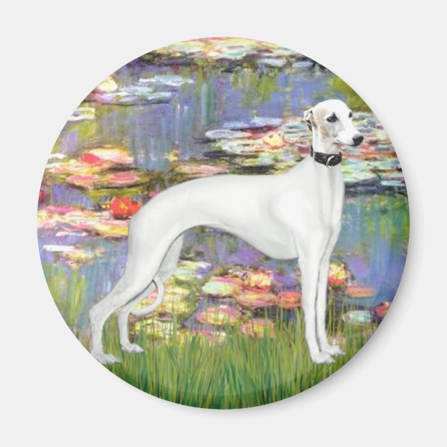 Lilies 2 - White Whippet (11b) Magnet (Front)