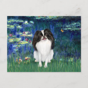 Lilies 5 - Japanese Chin 3 Postcard