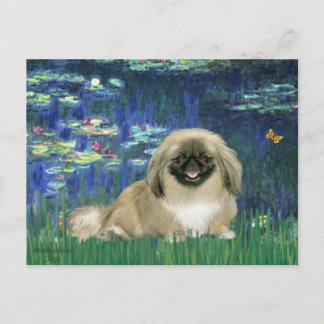 Lilies 5 - Pekingese 1b Postcard