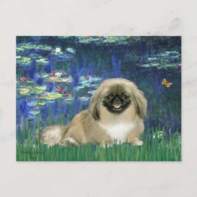 Lilies 5 - Pekingese 1b Postcard (Front)