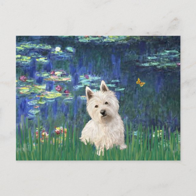 Lilies 5 - Westie 1 Postcard (Front)