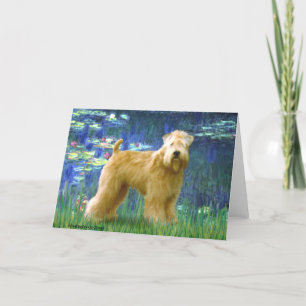 Lilies 5 - Wheaten Terrier (stand) Card