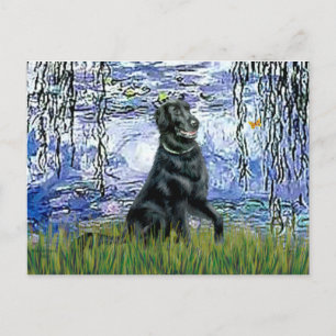 Lilies 6 - Flat Coated Retriever 2 Postcard