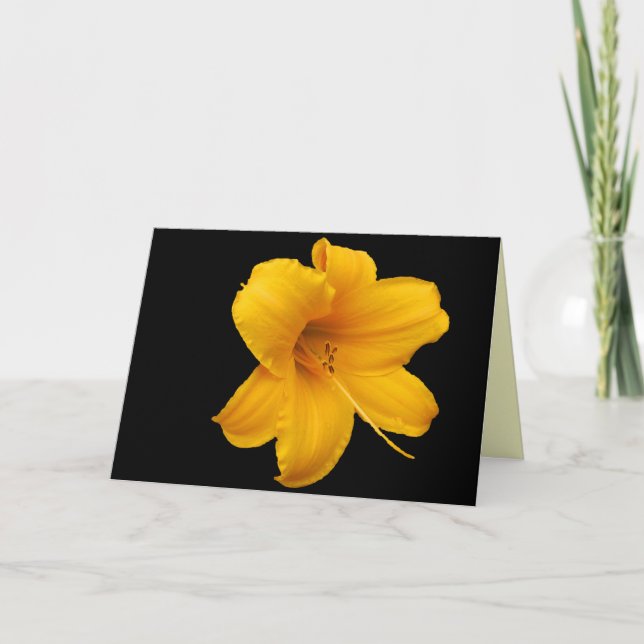Lilies and Daffodils Greeting Card (Front)