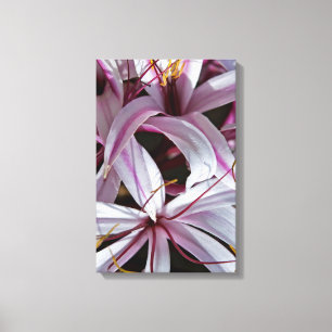 Lilies Canvas Print