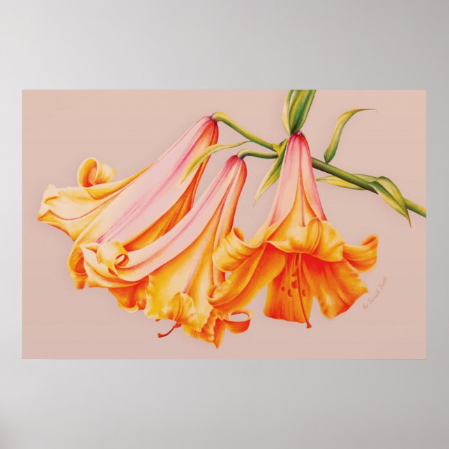 "Lilies" fine art botanical poster print (Front)