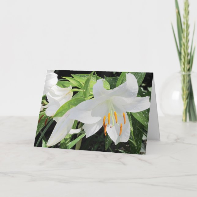 Lilies Greeting Card (Front)