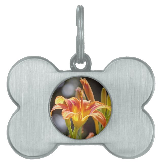 Lilies in the Sunshine Pet ID Tag (Front)