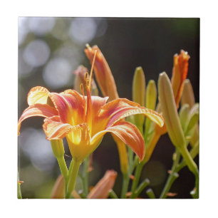 Lilies in the Sunshine Tile