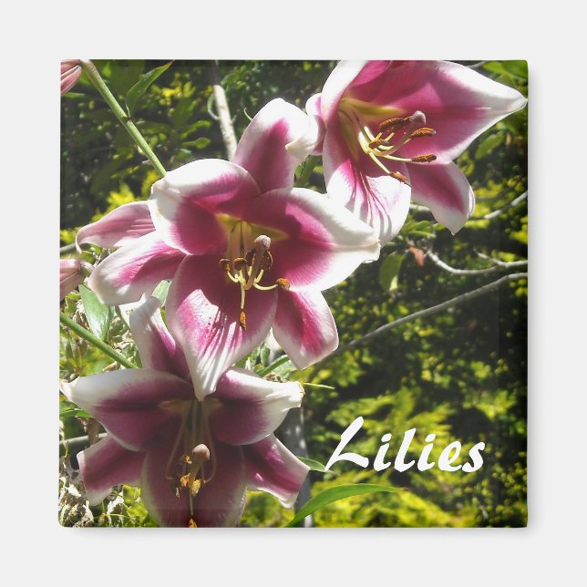 Lilies Magnet (Front)
