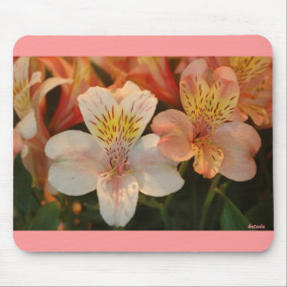 Lilies Mouse Mat