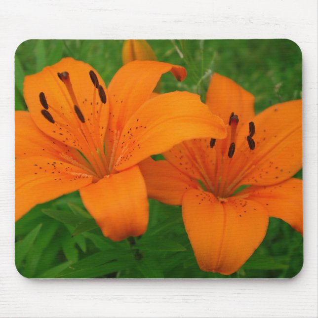 Lilies Mousepad (Front)