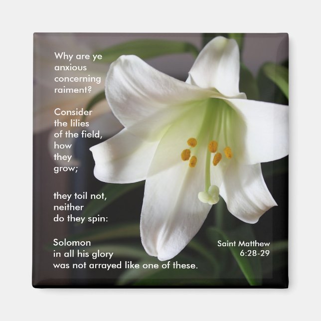 Lilies of the Field - Magnet (Front)