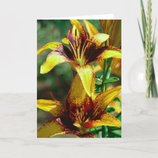 lilies of the fields card