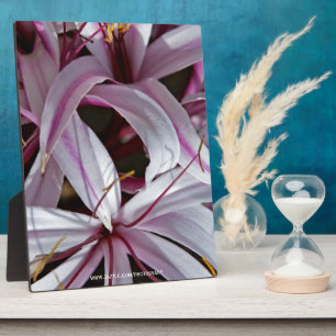Lilies Plaque