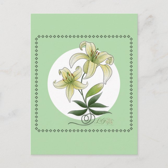 Lilies Postcard (Front)