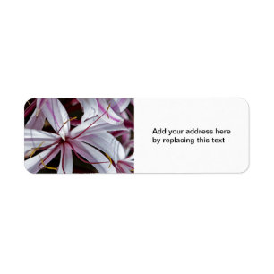 Lilies Return Address Labels