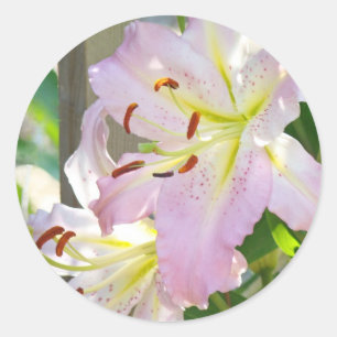 Lilies stickers Pink Lily Flowers sticker sheets