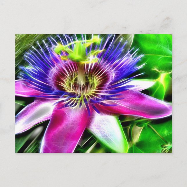 Lilikoi or Passion Flower Postcard (Front)