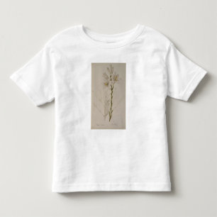 Lilium Candidum, from `Les Liliacees', 1807 Toddler T-Shirt
