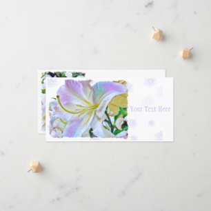 Lilium ‘Casa Blanca’ [Flat Guide Card] 案内状 Announcement