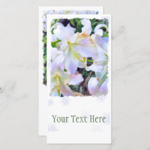 Lilium ‘Casa Blanca’ [Flat Guide Card] Announcement