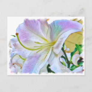 Lilium ‘Casa Blanca’  [Postcard] ポストカード Postcard