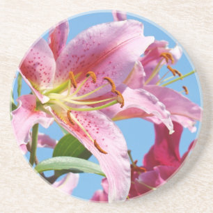 Liliy Flower Celebration drink Coasters Holidays