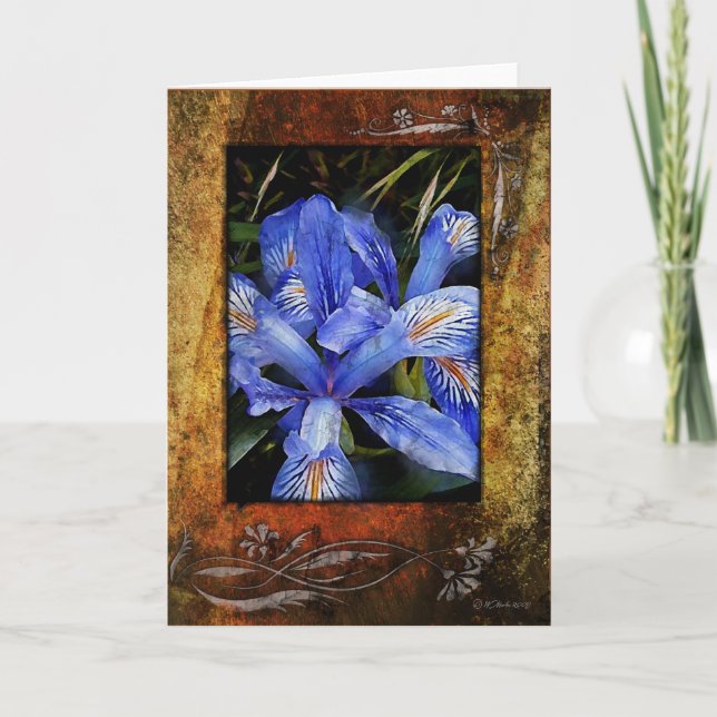 Lillie's-Framed-Greeting Card (Front)