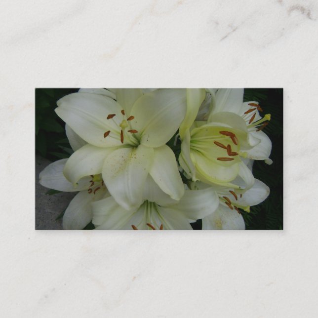Lillies - Horticulturists - Landscaping Business Card (Front)