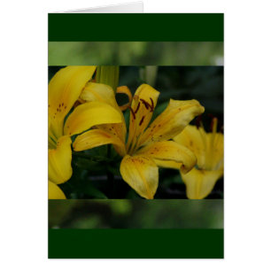 Lillies in Green
