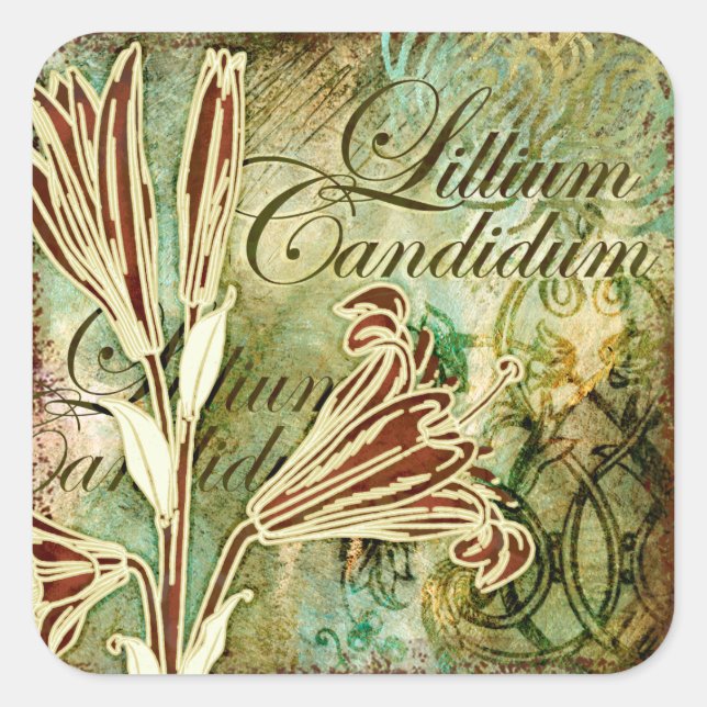 Lillium Candidum Square Sticker (Front)