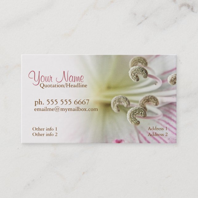 Lillium Flower Macro Business Cards (Front)