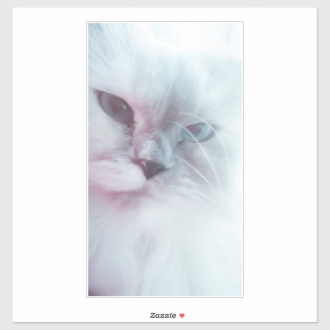 Lilly  (Sheet)
