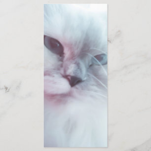 Lilly Bookmark  Menu