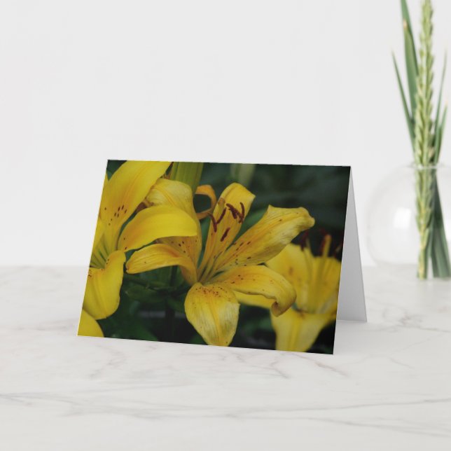 Lilly Card (Front)