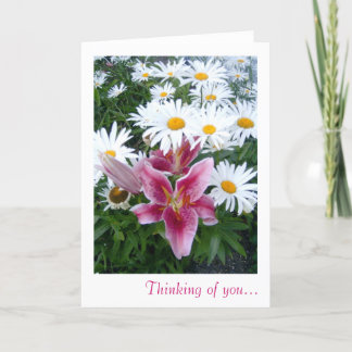 Lilly & Daisy Thinking of you Card