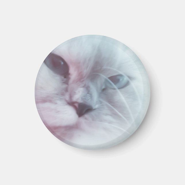 Lilly  magnet (Front)