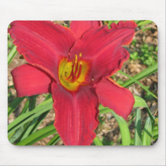 lilly mouse mat