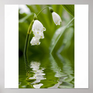 lilly of the valley poster