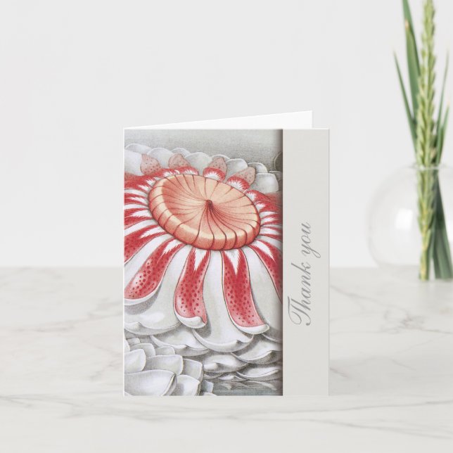 Lilly Pads Floral Thank You Notes (Front)