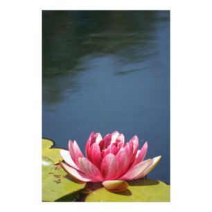 Lilly Pond Flowers Photo Print