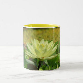 Lillypad Two-Tone Coffee Mug