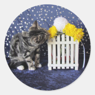 Lilo's Stop and Smell the Flowers - Cat / Kitten Classic Round Sticker