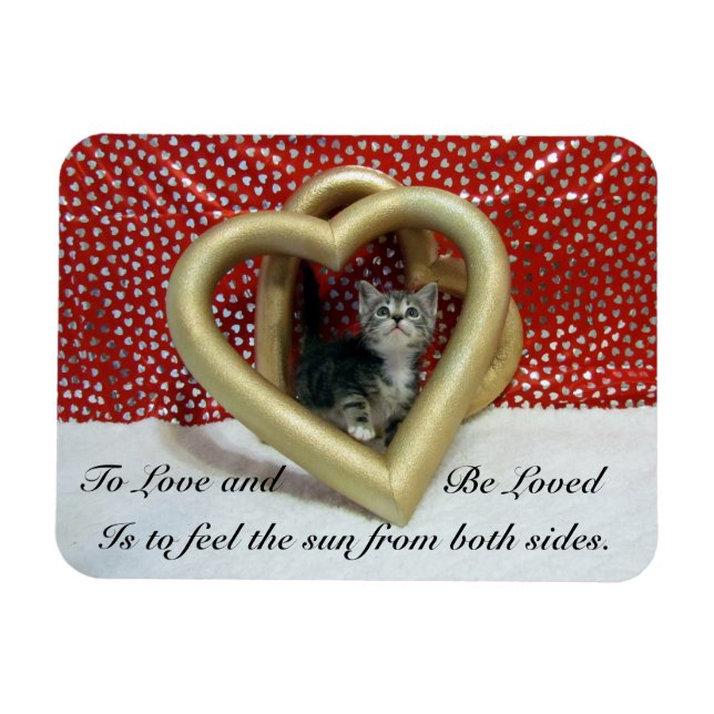 Lilo'The Cat's Loving Hearts Magnet  (Horizontal)