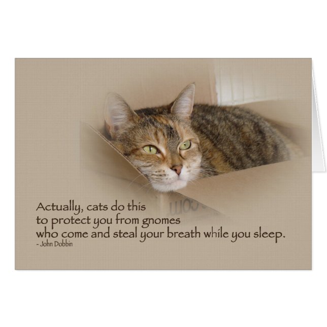 Lily #1 (Front Horizontal)